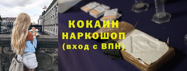 стаф Арсеньев