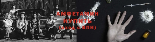 стаф Арсеньев