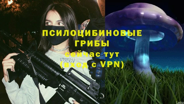 стаф Арсеньев