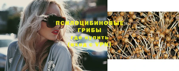 spice Армянск