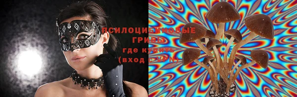spice Армянск