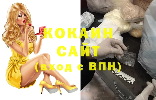 стаф Арсеньев