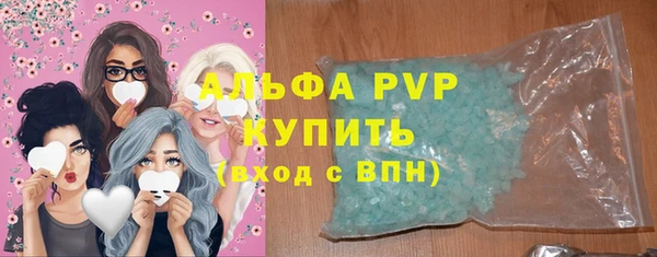 стаф Арсеньев